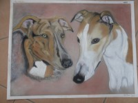 /album/galerie-photos/photo-1183-jpg/